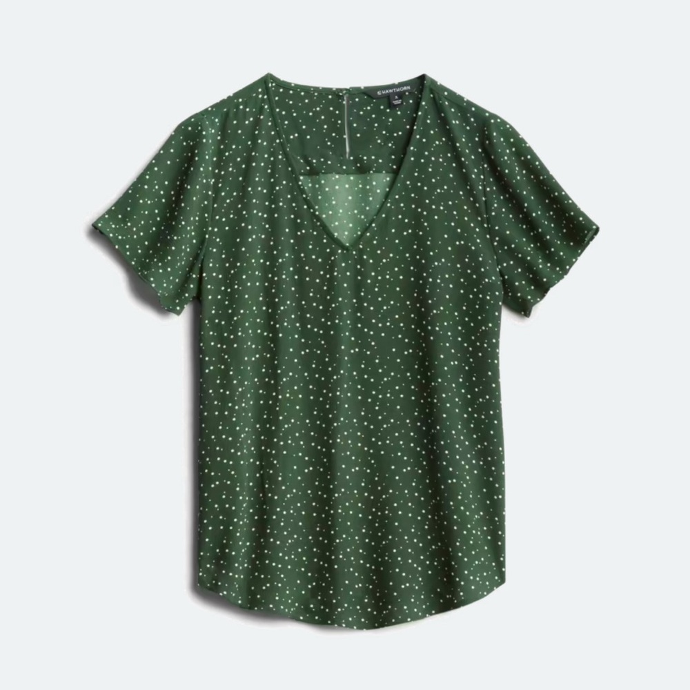 Zari V-neck Flutter Sleeve Blouse
